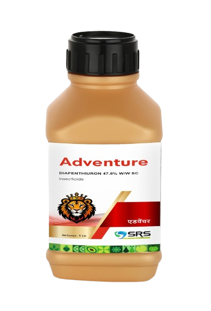 ADVENTURE