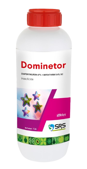 DOMINETOR