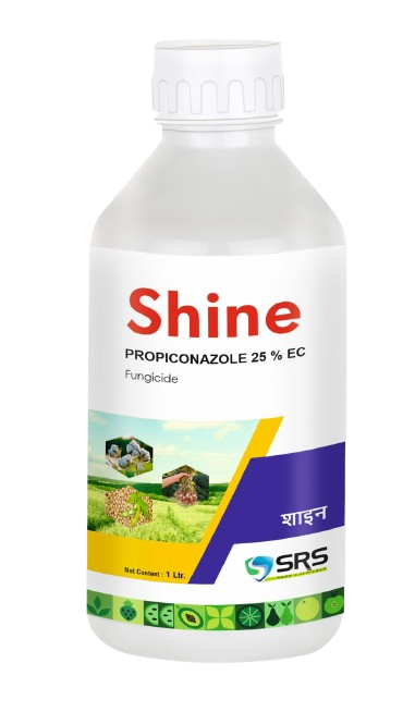 SHINE