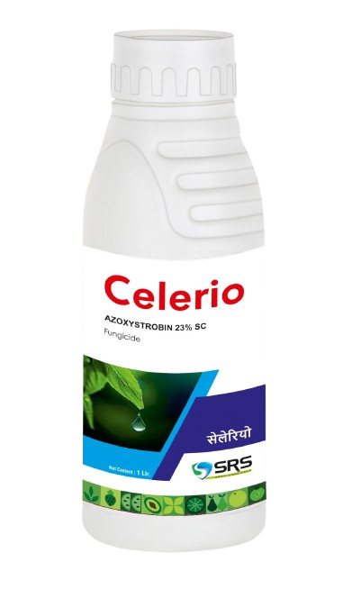 CELERIO
