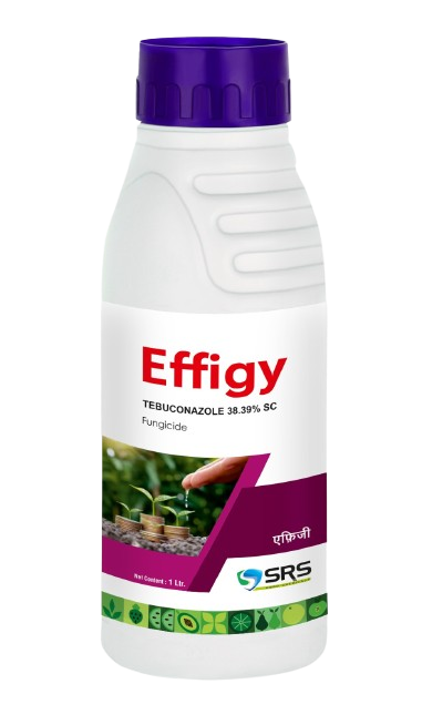 EFFIGY