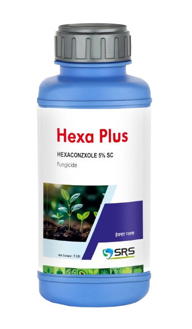 HEXA PLUS
