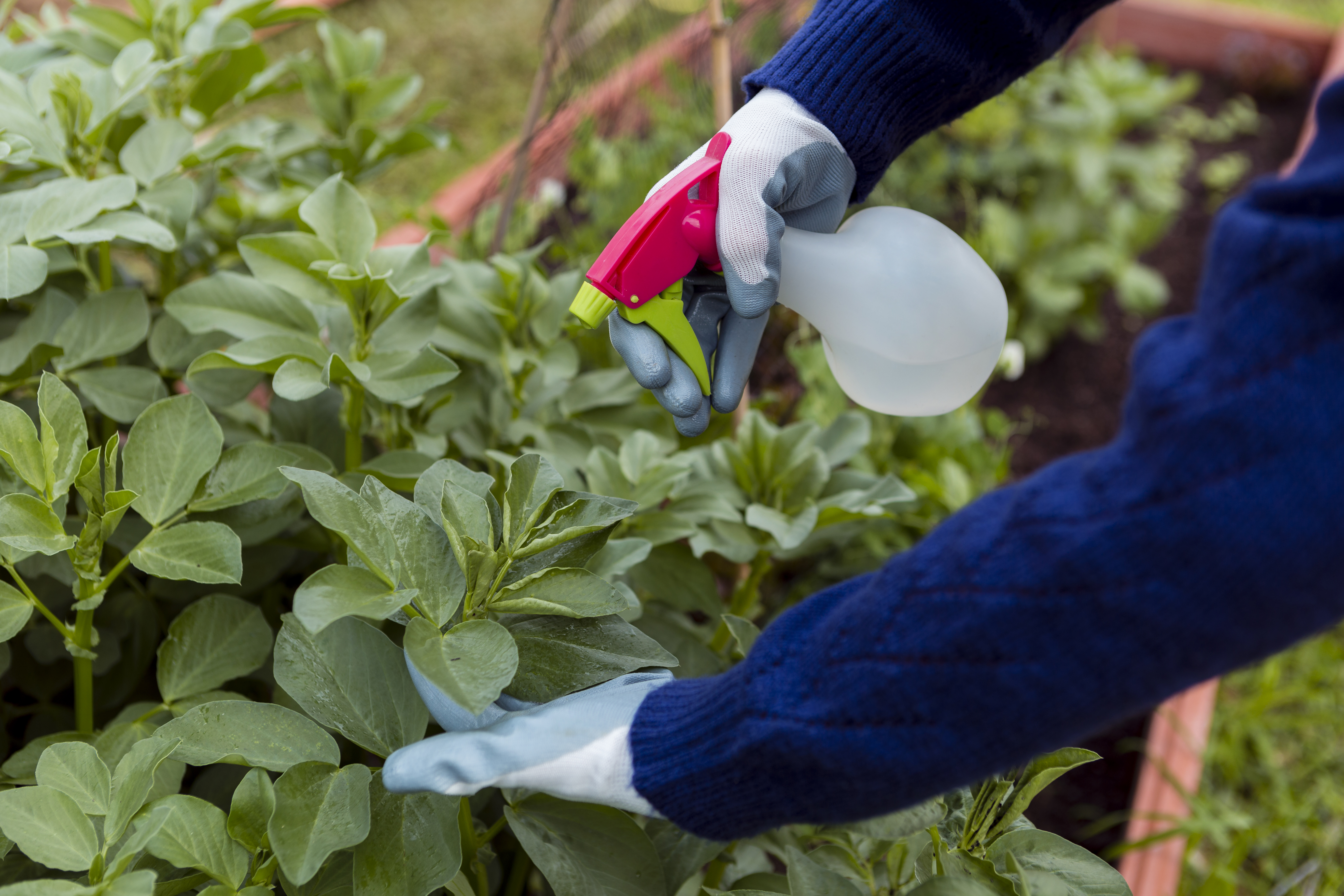 Fungicides Research