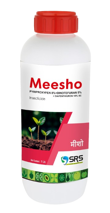 MEESHO