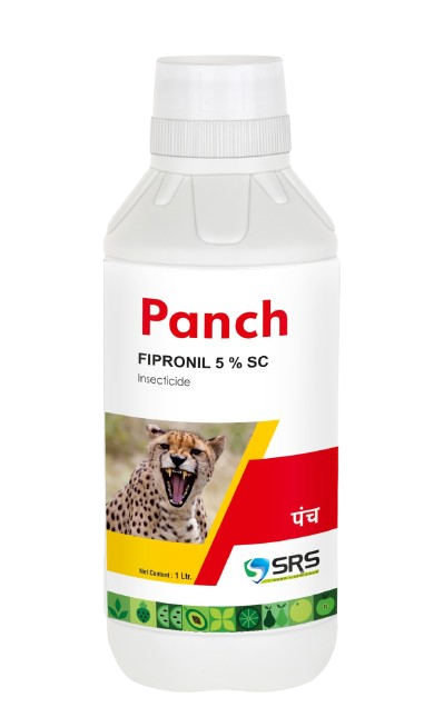 PANCH
