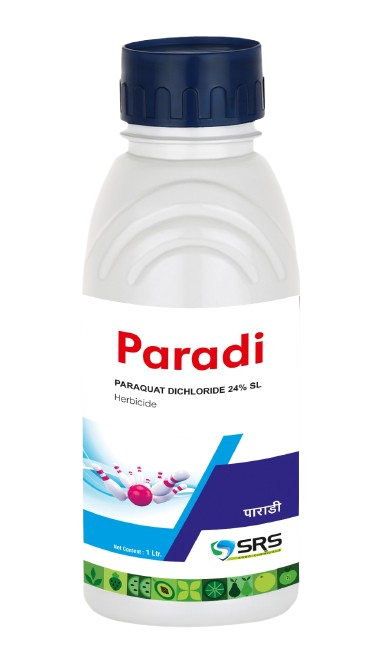 PARADI