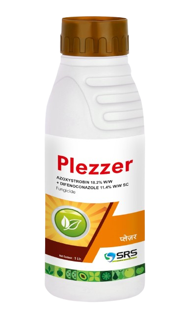 PLEZZER