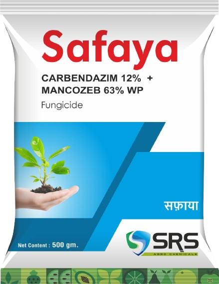 SAFAYA