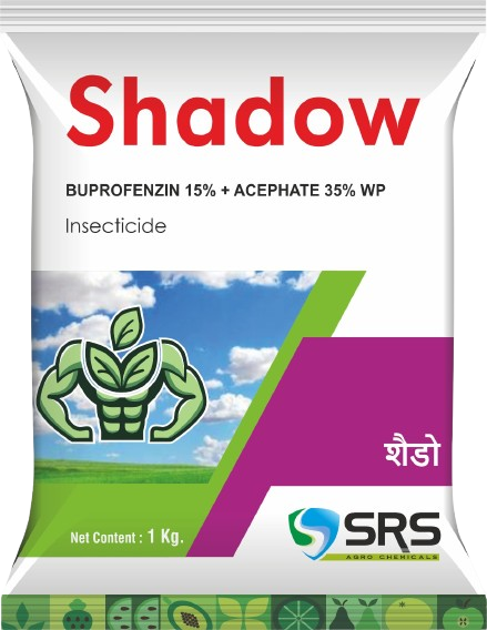 SHADOW